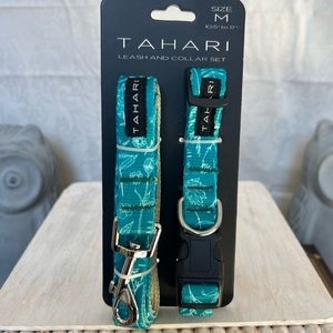 ⚡️Tahari Leash & Collar Set: Medium